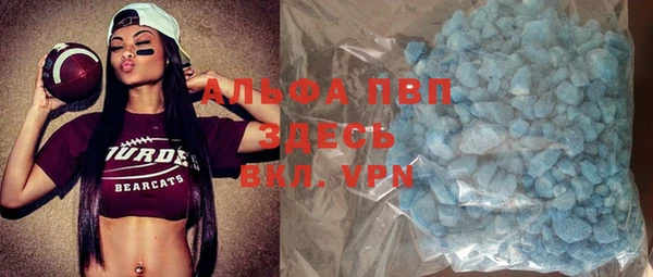 соль ск Новозыбков