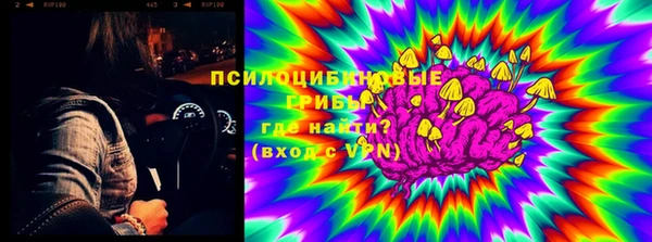 спайс Богородицк